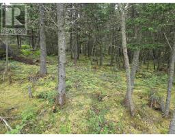Lot 8 Mountain Road, River Tillard, NS B0E2X0 Photo 2