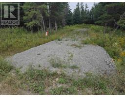 Lot 8 Mountain Road, River Tillard, NS B0E2X0 Photo 3