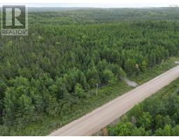Lot 8 Mountain Road, River Tillard, NS B0E2X0 Photo 4