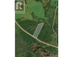 Lot 8 Mountain Road, River Tillard, NS B0E2X0 Photo 5