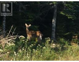 Lot 8 Sailors Way South Harbour, Sampsonville, NS B0E3B0 Photo 4