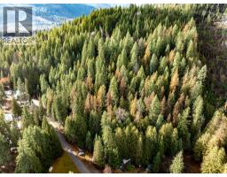 Maclure Avenue Lot Lot A, Salmo, BC V0G1Z0 Photo 4