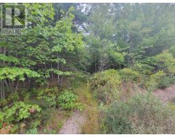 Lot 2 Wilson Road, Upper Rawdon, NS B0N2N0 Photo 4