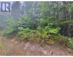 Lot 2 Wilson Road, Upper Rawdon, NS B0N2N0 Photo 5