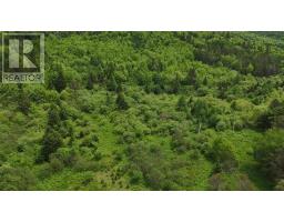 101 Ferguson Road, Kewstoke, NS B0E3M0 Photo 5