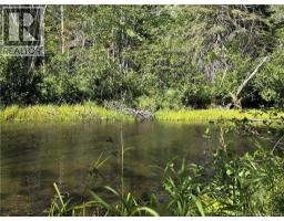 36 Acres Route 135, Duguayville, NB E8M1K2 Photo 3