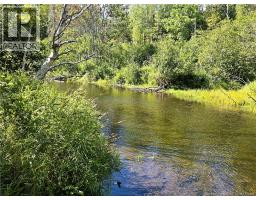 36 Acres Route 135, Duguayville, NB E8M1K2 Photo 4