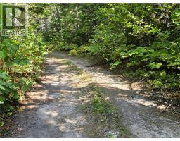 36 Acres Route 135, Duguayville, NB E8M1K2 Photo 5