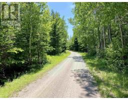 Acerage Highway 19, Long Point, NS B9A1P3 Photo 5