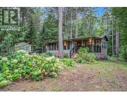 240 Pinewood Park Road, Whitewater Region, ON K0J1Y0 Photo 5
