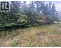 Na Ridge Road, Maces Bay, NB E5J1V4 Photo 2