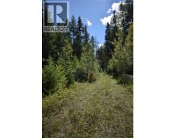 Lemon Creek Highway 6 Highway, Lemon Creek, BC V0G2C0 Photo 2