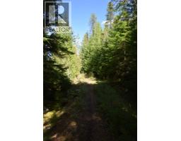 Lemon Creek Highway 6 Highway, Lemon Creek, BC V0G2C0 Photo 3