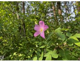 83 21061 Wye Rd, Rural Strathcona County, AB T8G1C7 Photo 4