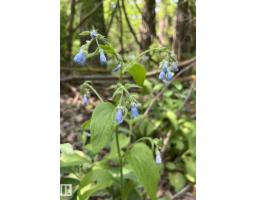 83 21061 Wye Rd, Rural Strathcona County, AB T8G1C7 Photo 5