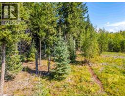 6355 Bates Road, Forest Grove, BC V0K1M0 Photo 3