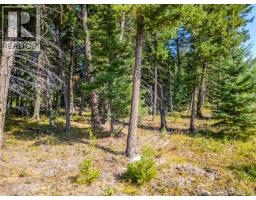 6355 Bates Road, Forest Grove, BC V0K1M0 Photo 5