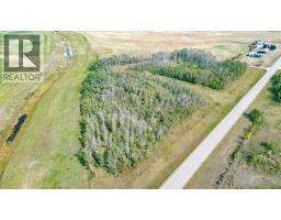 On Hwy 601, Rural Lacombe County, AB T0C0B0 Photo 4