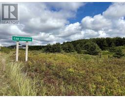Lot 2 Cabot Trail, Terre Noire, NS B0E1Y0 Photo 3