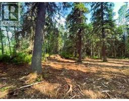 931 Wolf Trail, Image 3