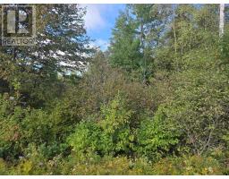 Lot 7 Highway 368, Fountain Road, NS B0K1Y0 Photo 2