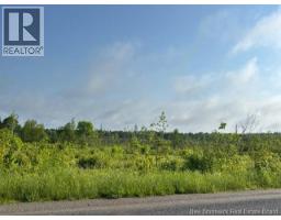 00000 Upper Tower Hill Road, Tower Hill, NB E5A2P3 Photo 3