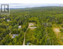 56 Evergreen Hill, Bayswater, NS B0J1T0 Photo 5