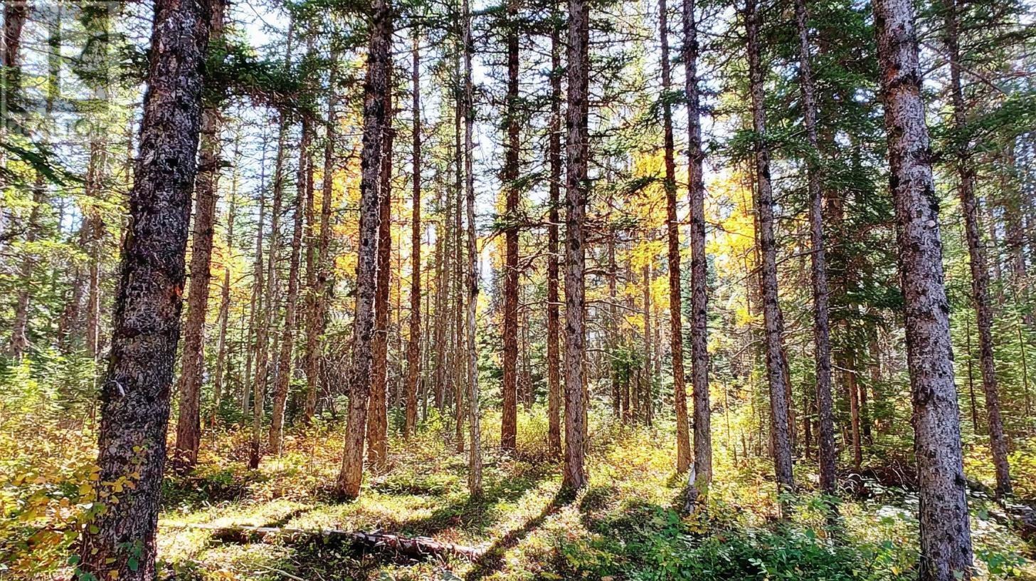 Lot 40 Beaver Lane Lane