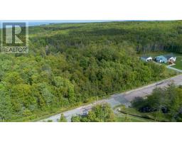 17 Mackesey Drive, Victoria Mines, NS B1N3J7 Photo 3