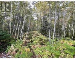 69 Mackay Road, Union Square, NS B0R1E0 Photo 2