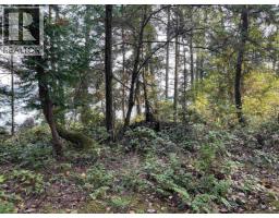 Lot 2 North End Road, Salt Spring Island, BC V0V0V0 Photo 4