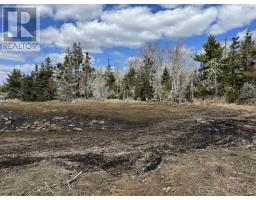 Lot 17 Island Indian Point Road, East Port Medway, NS B0J2H0 Photo 5