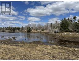 Lot 17 Island Indian Point Road, East Port Medway, NS B0J2H0 Photo 4