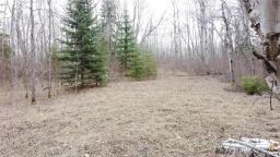 0 90 E Main Street Road N, Middlebro, MB R0A1B0 Photo 4