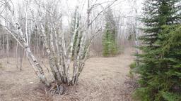 0 90 E Main Street Road N, Middlebro, MB R0A1B0 Photo 5