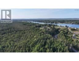 Richards Pond Road, River Bourgeois, NS B0E2X0 Photo 5