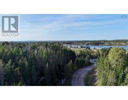 Richards Pond Road, River Bourgeois, NS B0E2X0 Photo 4