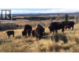 Dining room - 6029 Twp Road 33 2, Rural Mountain View County, AB T0M1X0 Photo 4