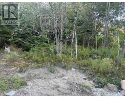 198 Puddle Road, Queensland, NS B0J1T0 Photo 5