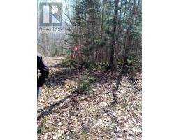 Acreage, West Devon, PE C0B1H0 Photo 4