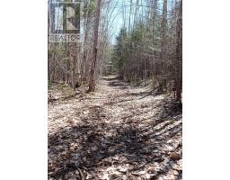 Acreage, West Devon, PE C0B1H0 Photo 3