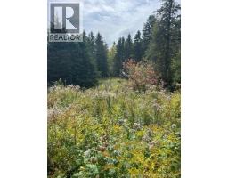 0 885 Route, Kinnear Settlement, NB E4Z5A1 Photo 3