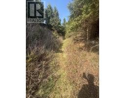 Lot Macneil Lane, Image 2