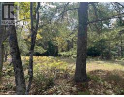 Block A Highway 325, West Clifford, NS B4V8J2 Photo 2