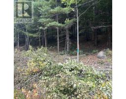 Lot 25 3 Conquerall Mills Road, Conquerall Mills, NS B4V7A3 Photo 2