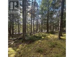 Lot 25 3 Conquerall Mills Road, Conquerall Mills, NS B4V7A3 Photo 5