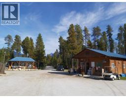 991 West Frontage Road, Blue River, BC V0E1J0 Photo 2