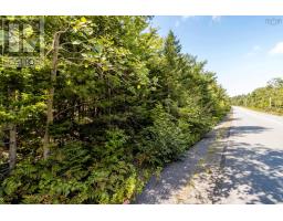 Lot 1 Aylesford Road, Morristown, NS B0P1C0 Photo 4