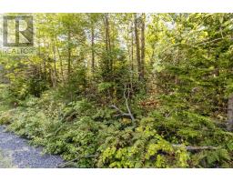Lot 5 Aylesford Road, Morristown, NS B0P1C0 Photo 2