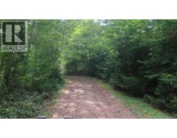 Living room - 1371 Route 16 Route, Jolicure, NB E4L2P9 Photo 3